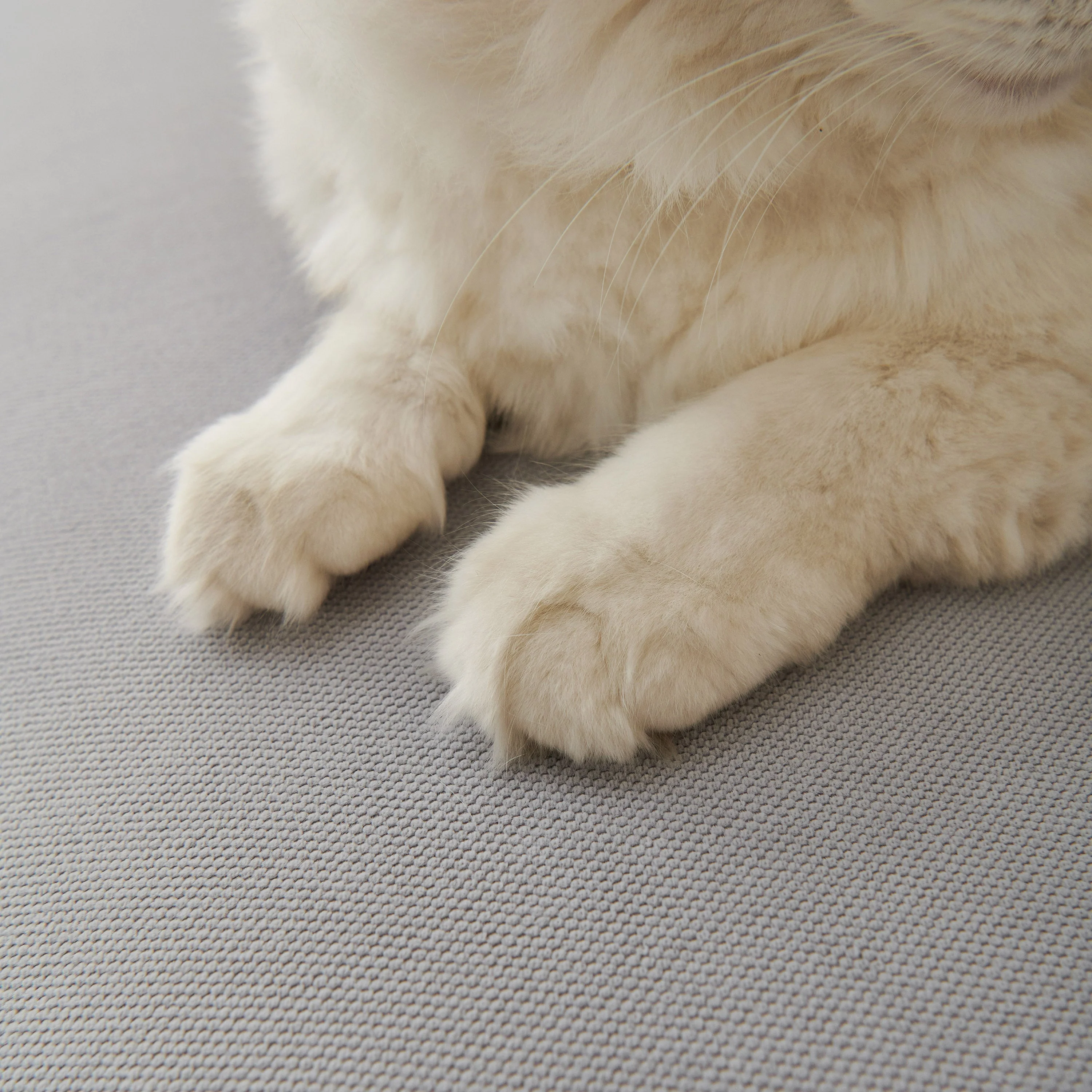 Waterproof Scratch Proof Sofa Protector Throw Blanket, Couch Cover for Pets & Kids - Image 44