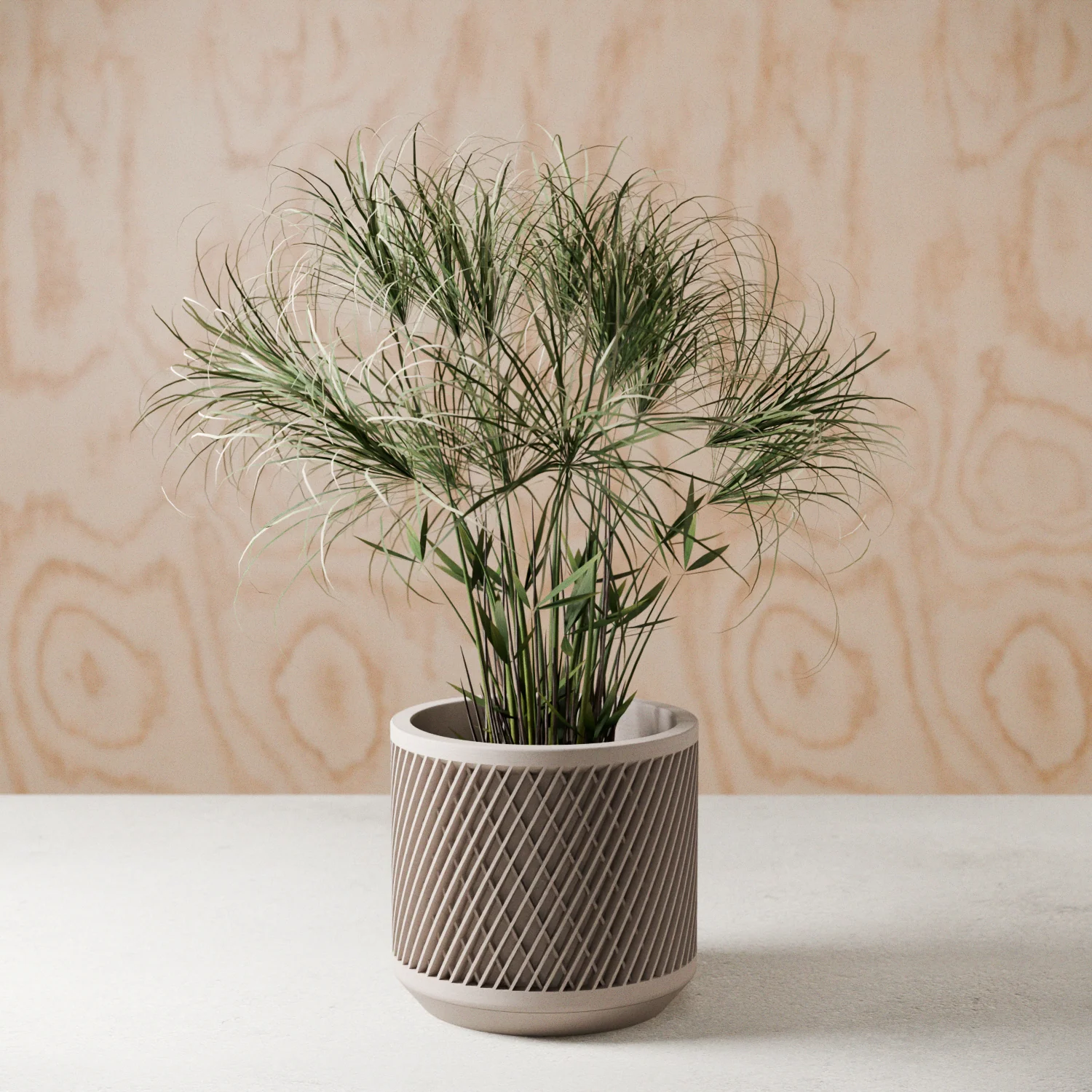 Weave Planter - Image 2
