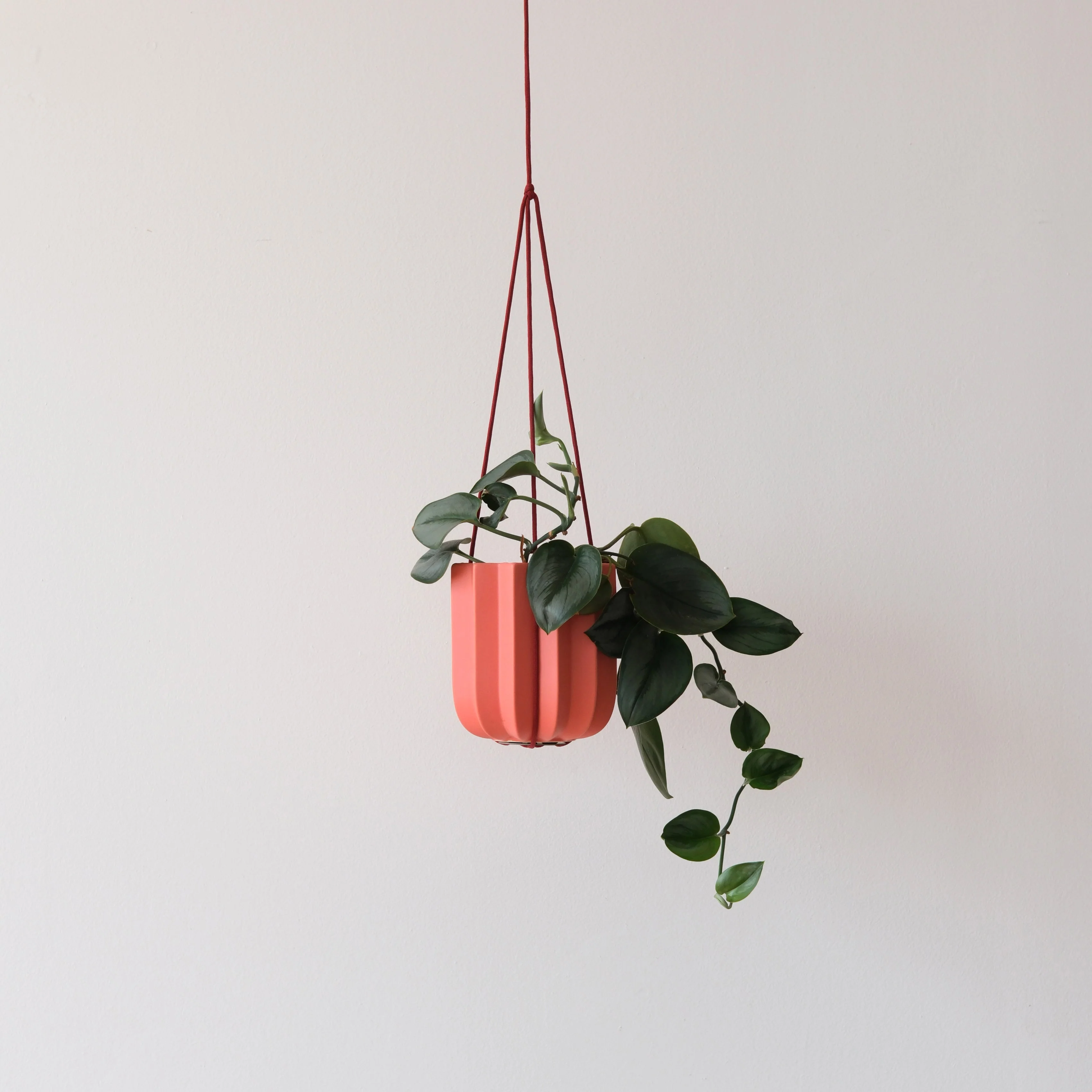 Wrap Hanging Kit - Image 2