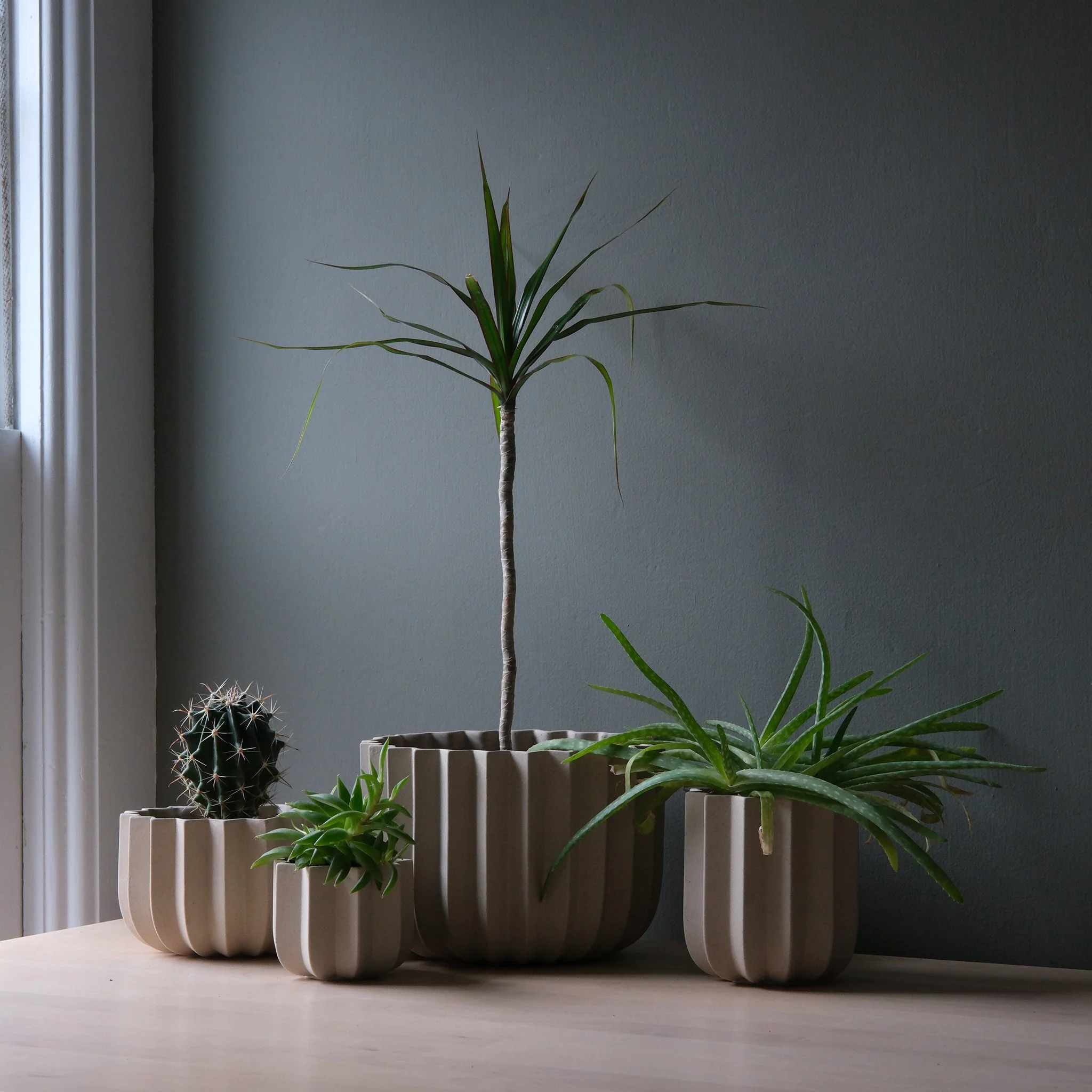 Wrap Planter - 4 sizes - Image 10