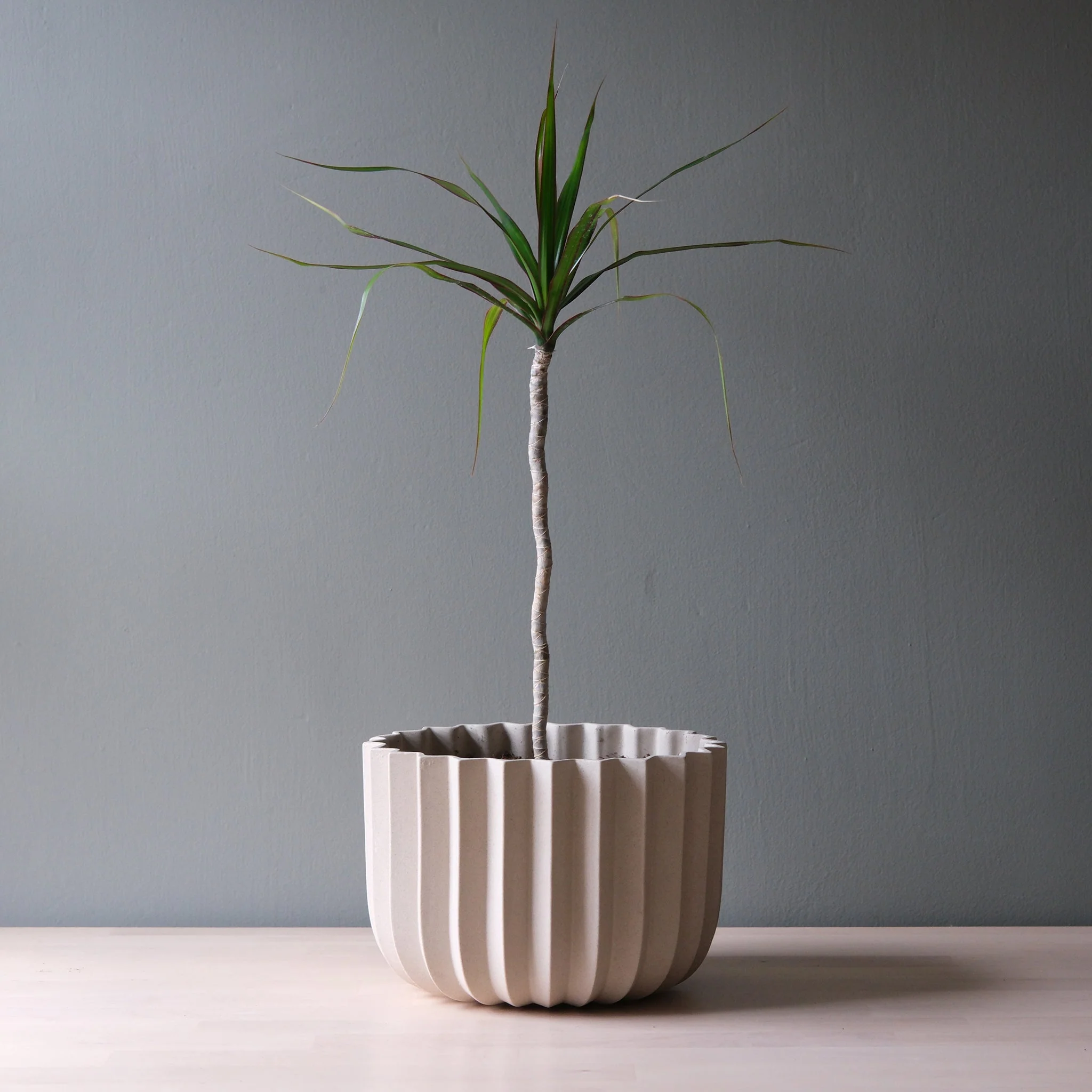 Wrap Planter - 4 sizes - Image 11