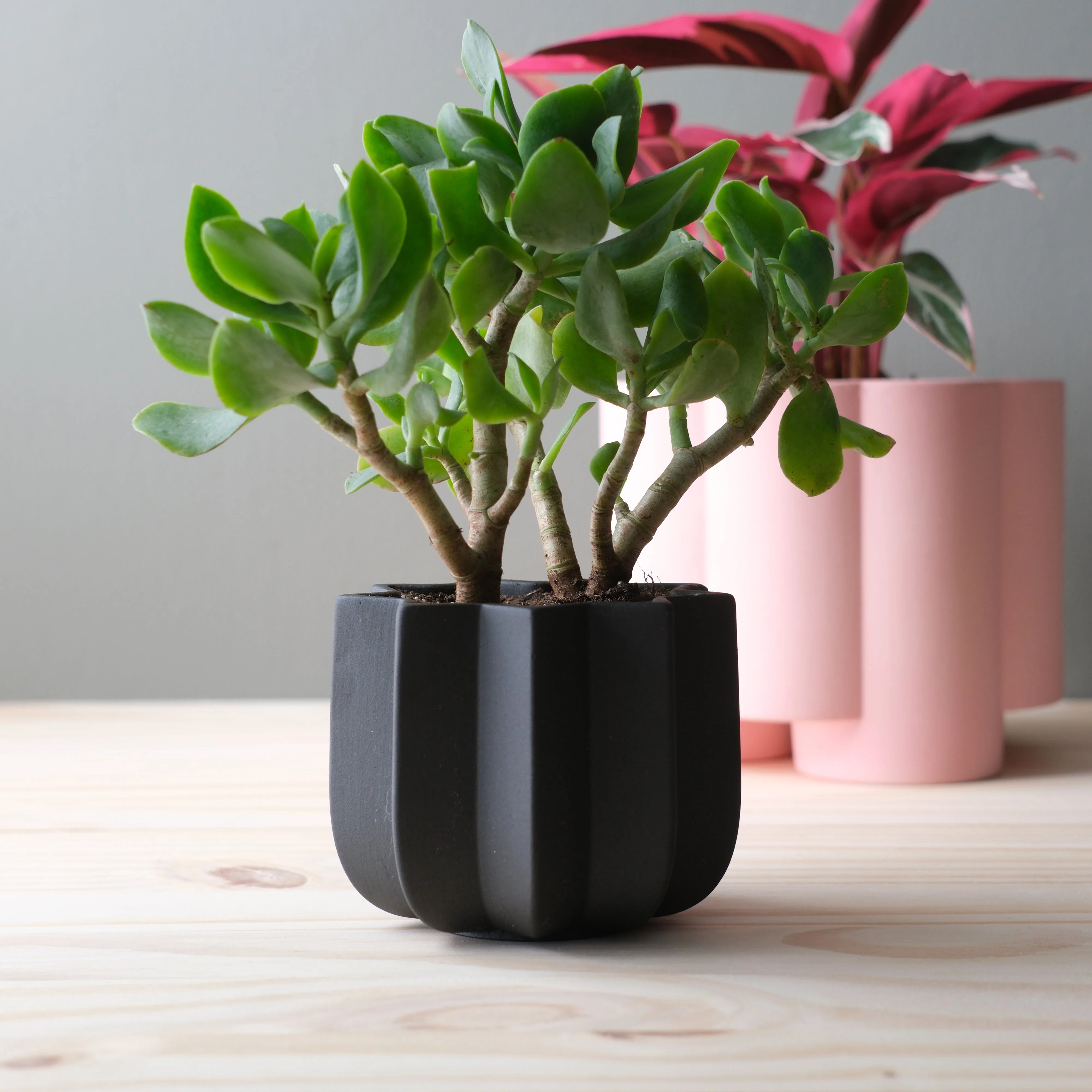 Wrap Planter - 4 sizes - Image 14