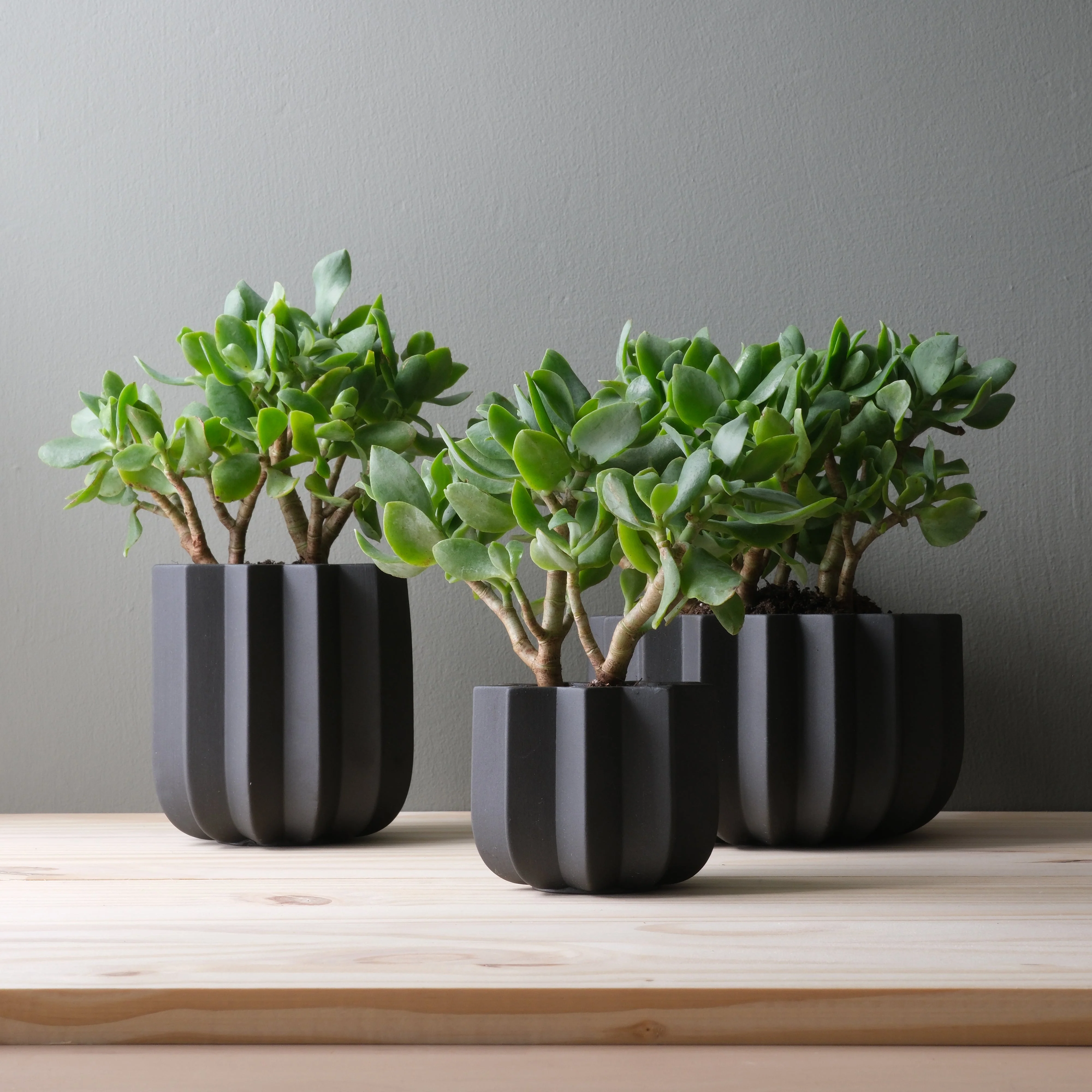 Wrap Planter - 4 sizes - Image 15