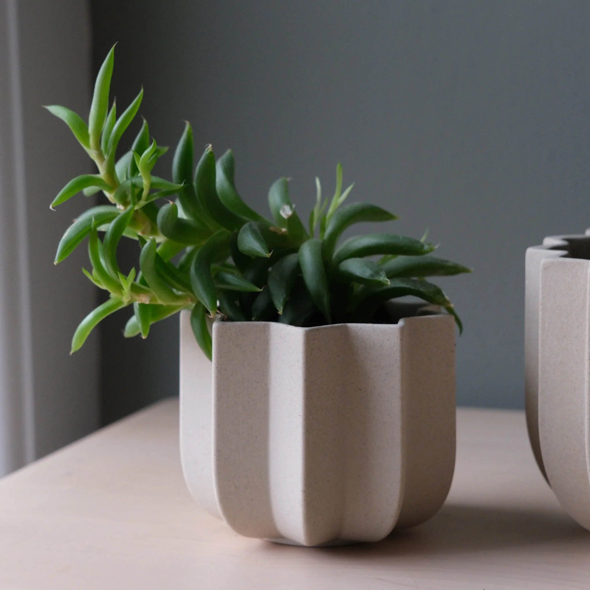 Wrap Planter - 4 sizes - Image 3