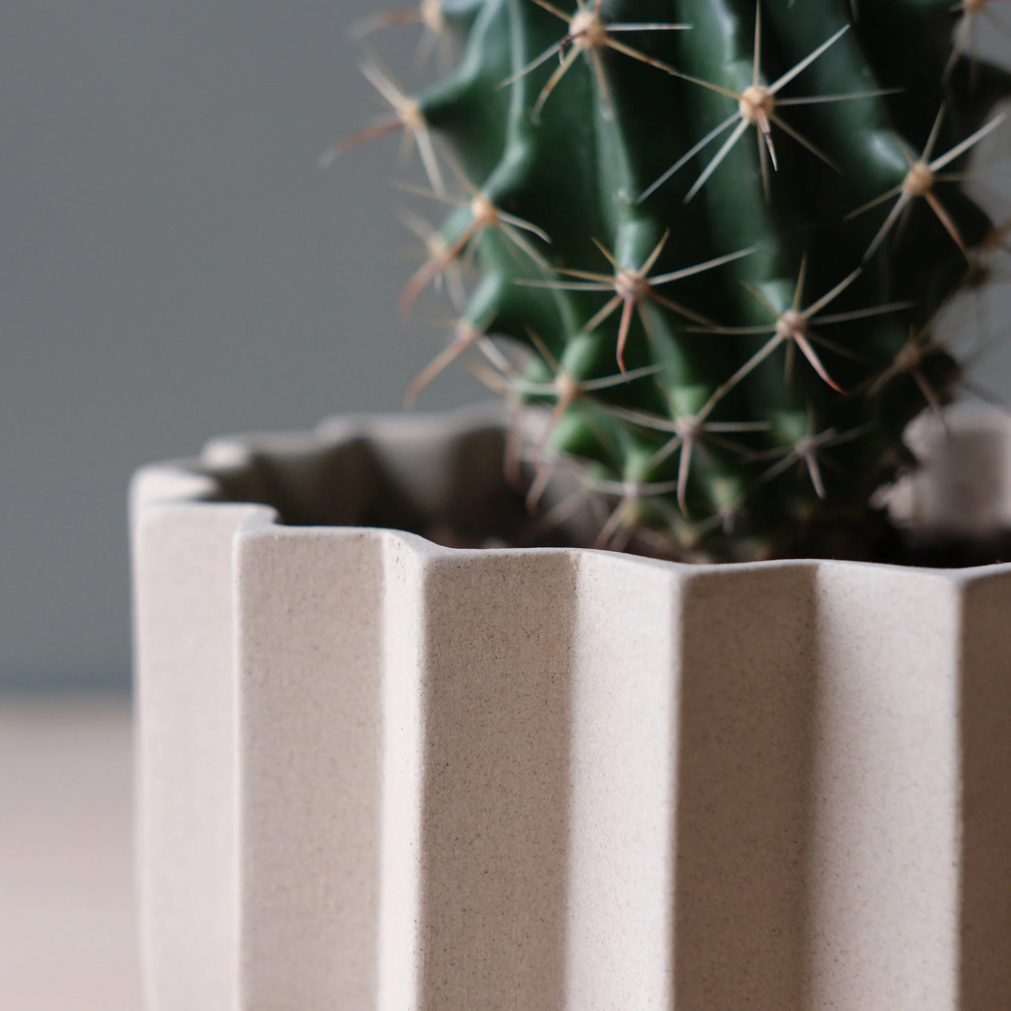 Wrap Planter - 4 sizes - Image 5
