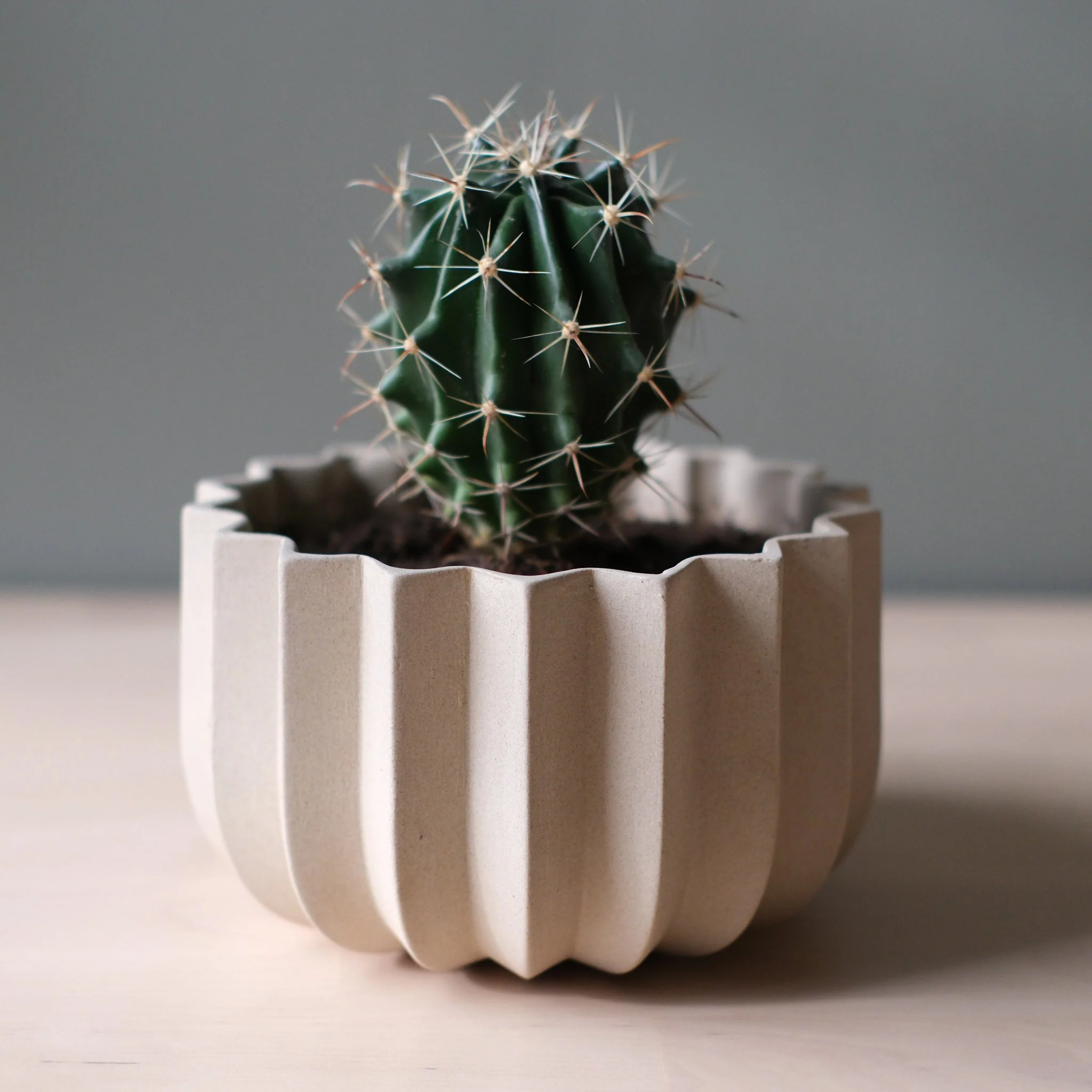 Wrap Planter - 4 sizes - Image 6