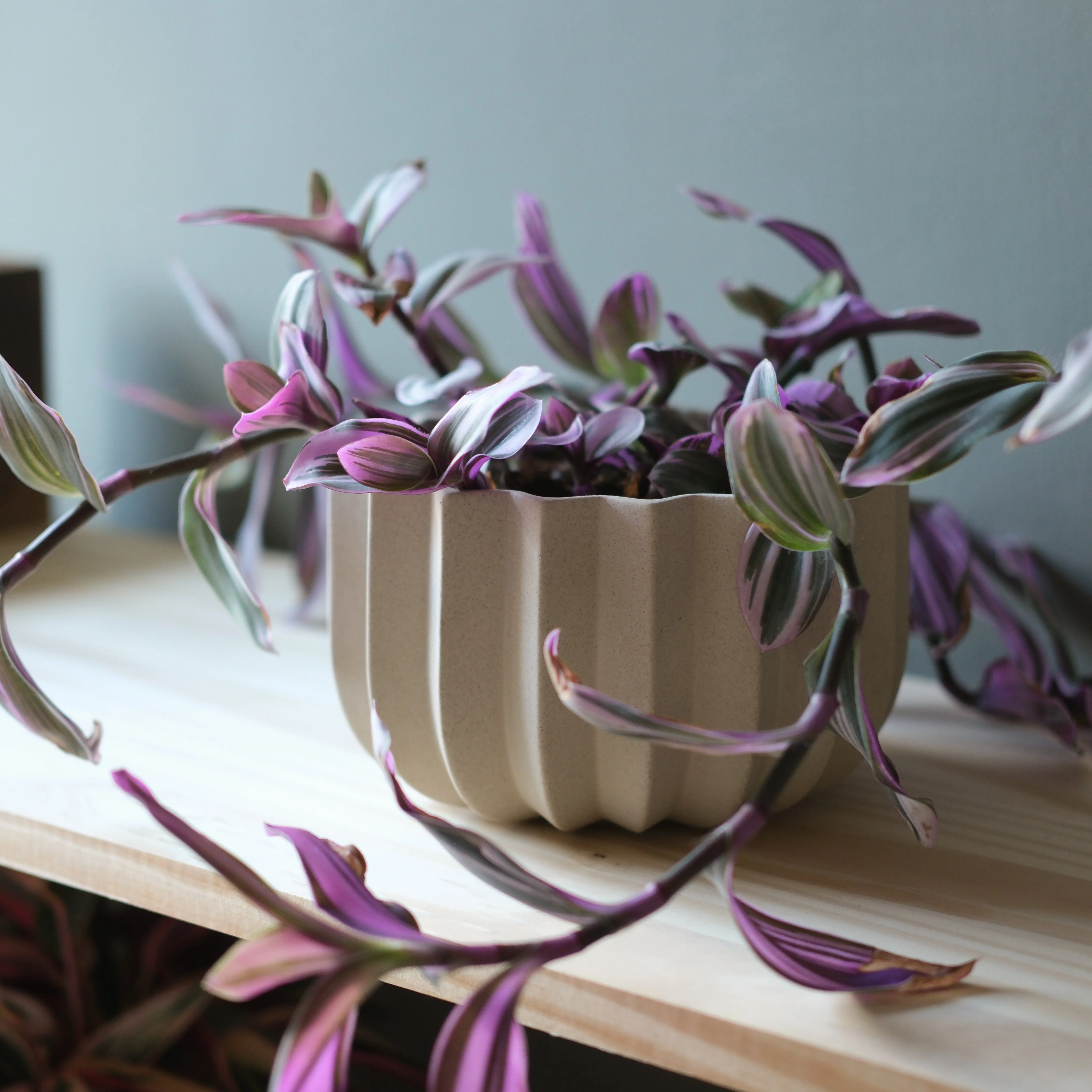 Wrap Planter - 4 sizes - Image 7
