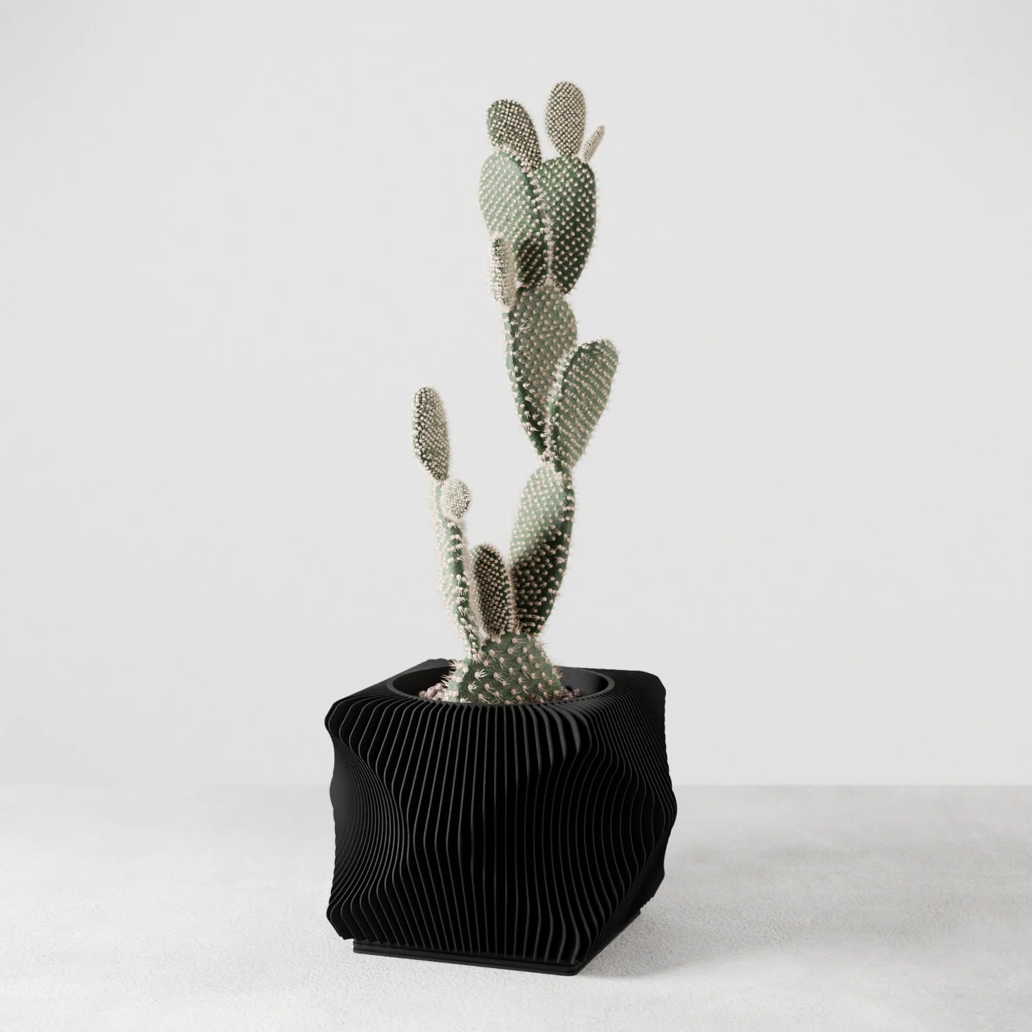 Xenova Planter - Image 2