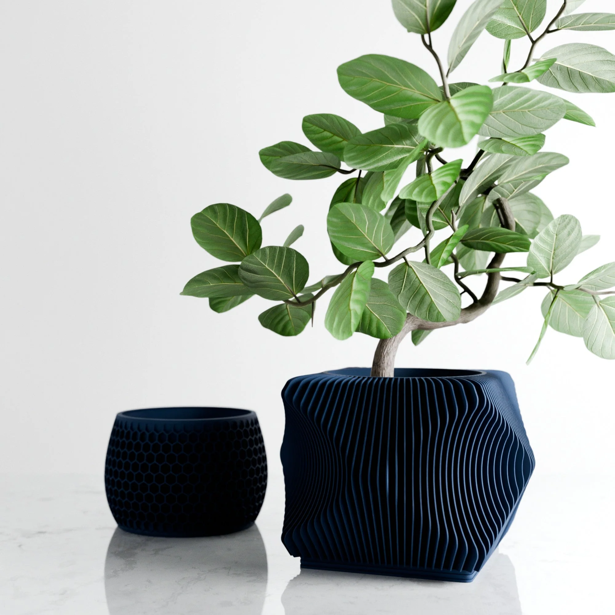 Xenova Planter - Image 5