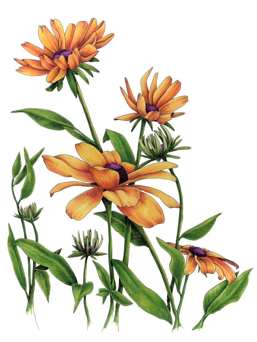 Yellow - Open Edition Paper Print - Image 3